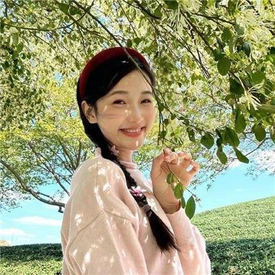 花颜劫
