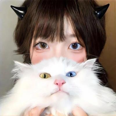 狂赌之渊第二季